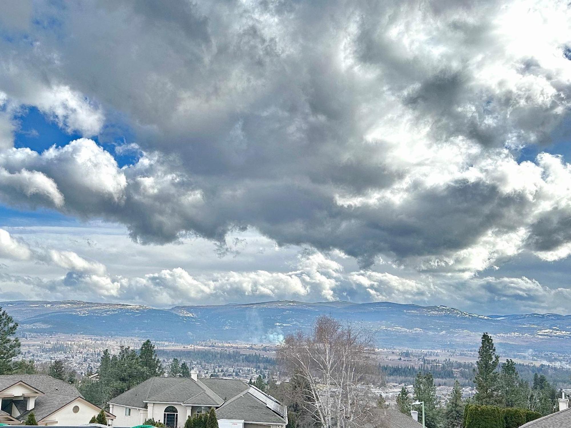 Under The Tree - Bed & Breakfast Kelowna Dış mekan fotoğraf